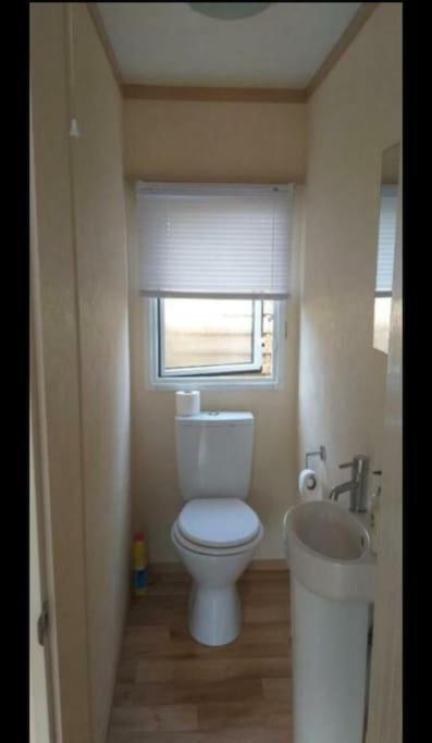 Chalet Te Huur Op *****Camping Terspegelt 4 Personen Eersel Dış mekan fotoğraf